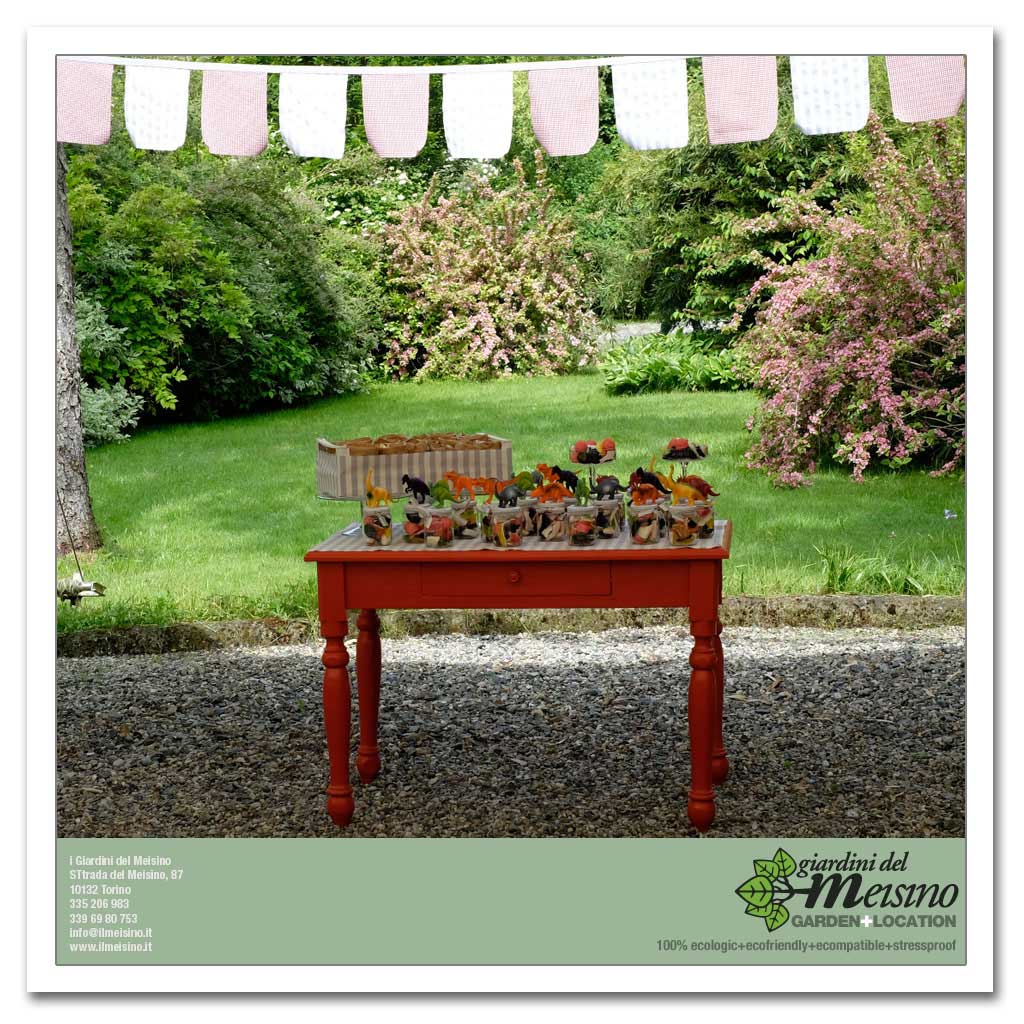 giardini meisino location torino 141